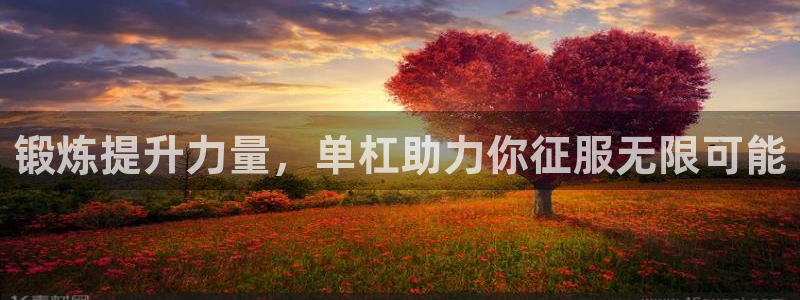 征途国际五金厂：锻炼提升力量，单杠助力你征服无限可能