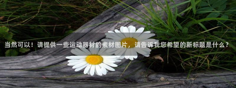 征途国际娱乐是那个系列的台子：当然可以！请提供一些运动器材的