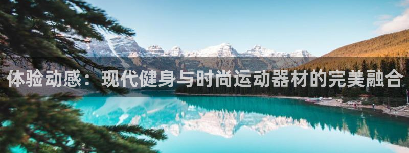 征途国际开户：体验动感：现代健身与时尚运动器材的完美融合