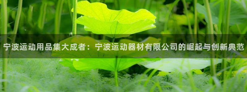 征途国际娱乐40996：宁波运动用品集大成者：宁波运动器材有