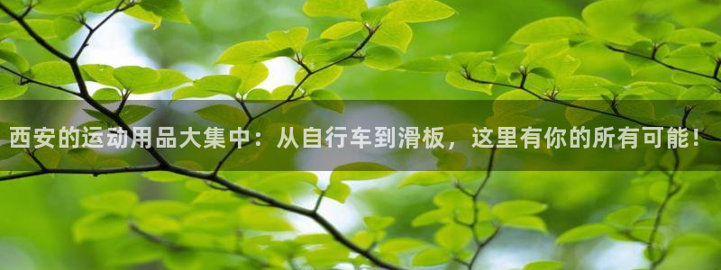 征途国际娱乐首页网站大全：西安的运动用品大集中：从自行车到滑