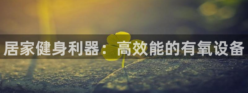 征途国际招商电话是多少号码：居家健身利器：高效能的有