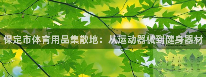 征途国际平台是正规平台吗：保定市体育用品集散地：从运动器械到
