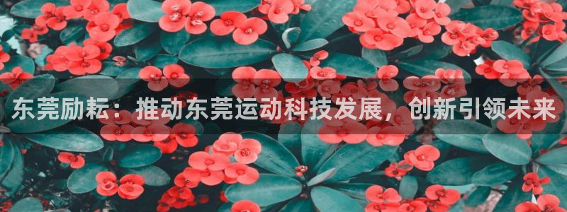 征途国际软件：东莞励耘：推动东莞运动科技发展，创新引领未来