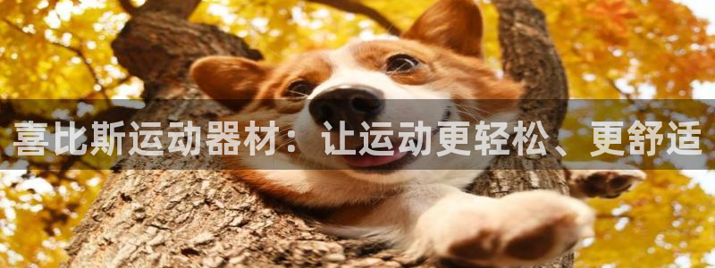 征途国际娱乐是那个系列的台子：喜比斯运动器材：让运动更轻松、