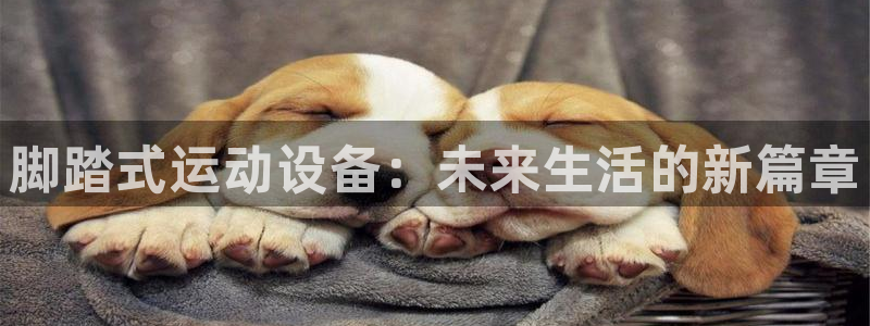 征途国际神州：脚踏式运动设备：未来生活的新篇章