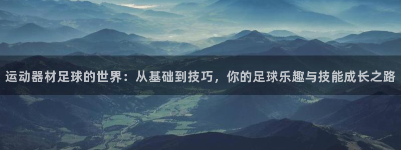 征途国际招商电话地址：运动器材足球的世界：从基础到技巧，你的
