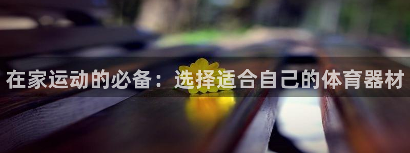 征途国际代理