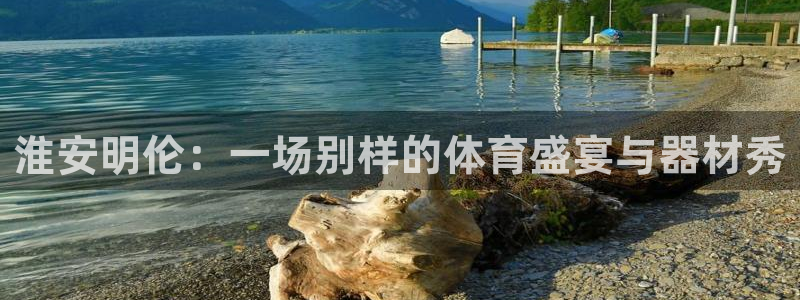 征途国际联系电话：淮安明伦：一场别样的体育盛宴与器材