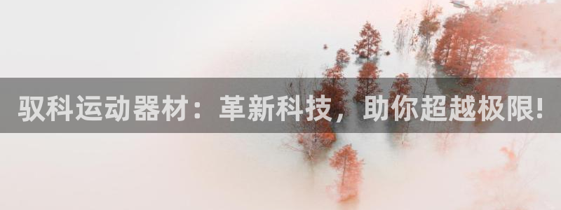 征途国际招商电话号码是多少啊：驭科运动器材：革新科技