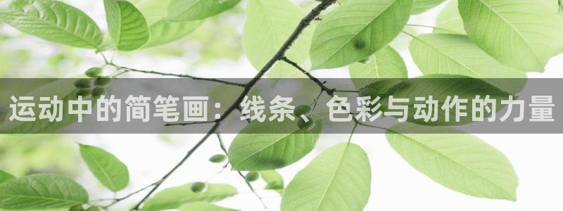 征途国际娱乐网站：运动中的简笔画：线条、色彩与动作的力量