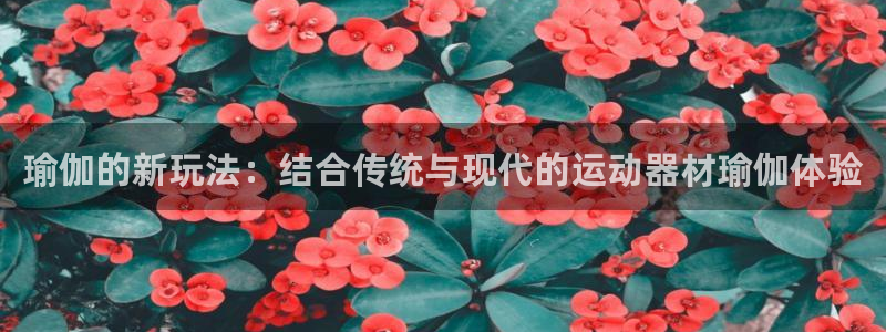征途国际软件：瑜伽的新玩法：结合传统与现代的运动器材瑜伽体验